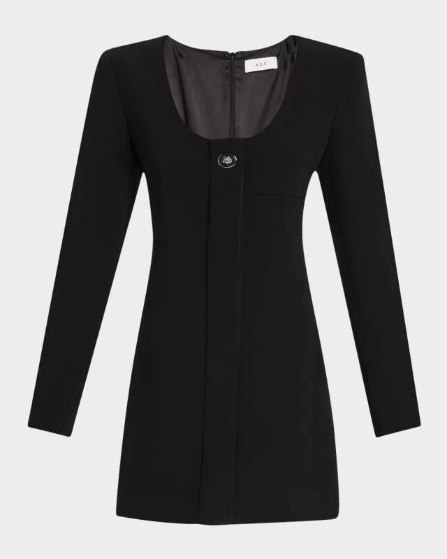 Elena Long-Sleeve Mini Dress